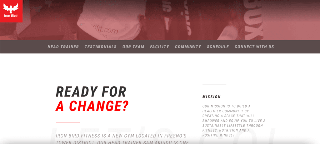 Fitness website, Iron Bird Fitness