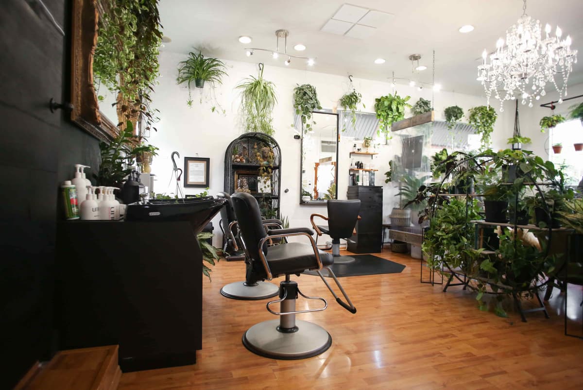 How to Create a Salon Website to Attract More Business