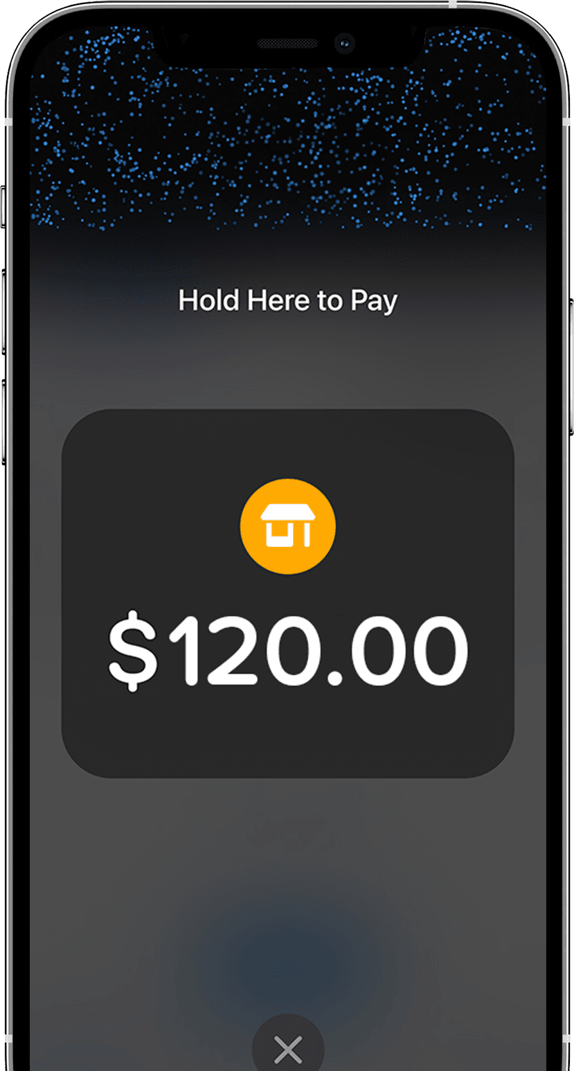 Vagaro Connect App Phone